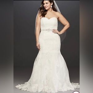 David’s Bridal Women’s Plus Wedding Gown, Free lace beaded jacket and petticoat